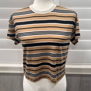 Rag & Bone Earth Stripe Boxy Cropped Tee XXS NWT Brown Black Casual Chic